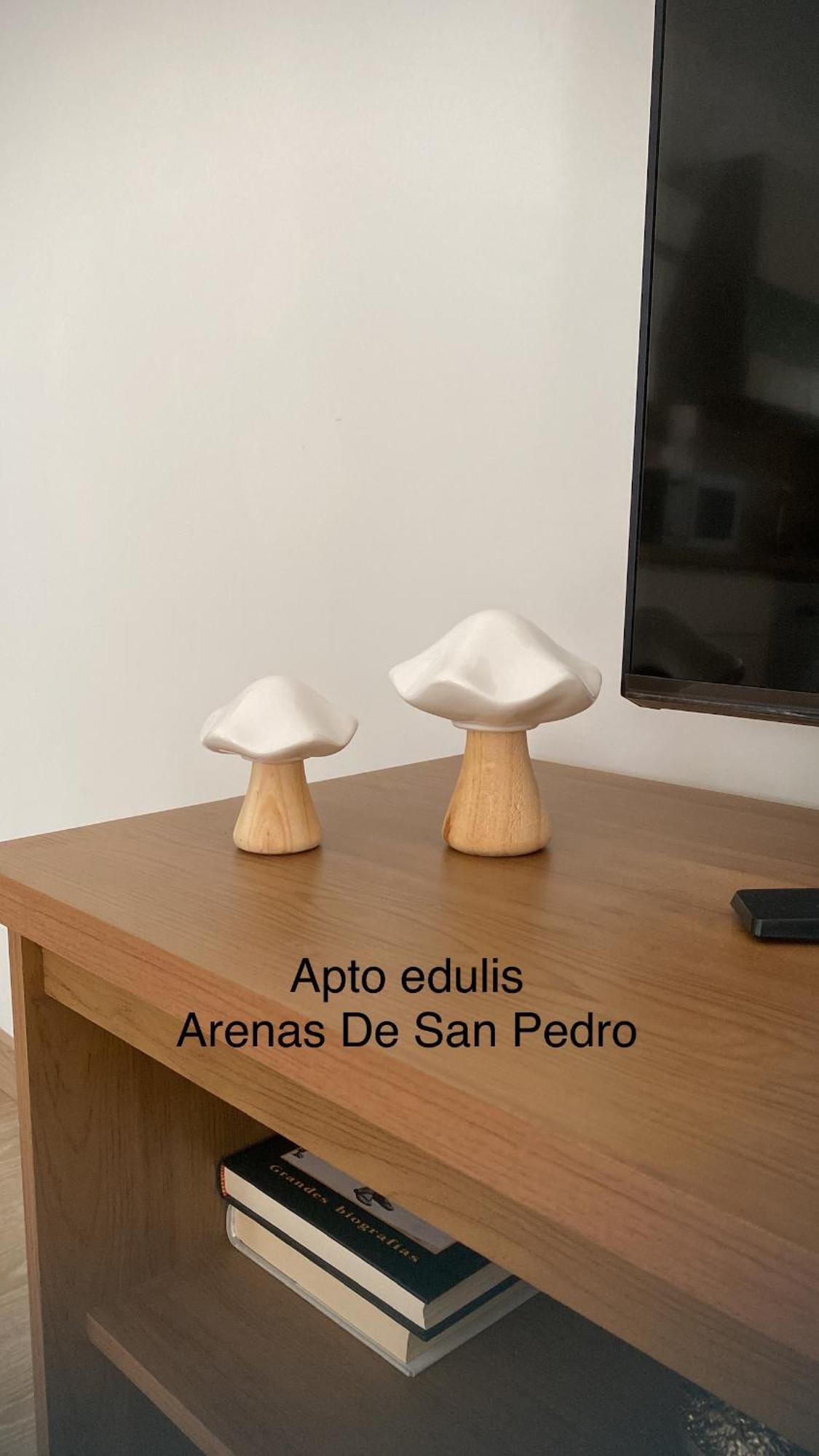 Appartement Edulis 2